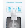 Anker PowerPort iii 20W USB-C 3pin Wall Charger (A2632k21)