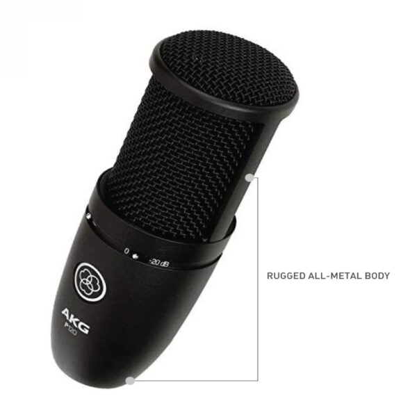 AKG P120 High-Performance General Purpose Recording Microphone