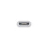 Apple Lightning to Micro USB Adapter