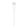 Apple Lightning to USB 1M Cable