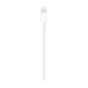 Apple Lightning to USB 1M Cable