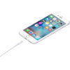 Apple Lightning to USB 1M Cable