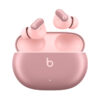 Beats Studio Buds + True Wireless Earbuds